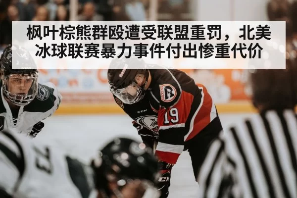 枫叶棕熊群殴遭受联盟重罚，北美冰球联赛暴力事件付出惨重代价